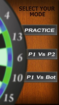 Professional Darts 3D游戏截图2