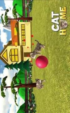 Cat Home : Kitten Daycare & Kitty Care Hotel游戏截图4