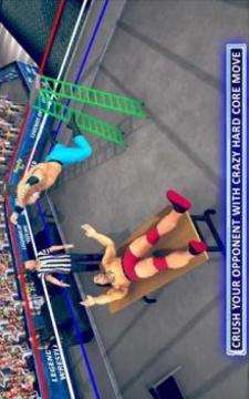 World Wrestling Revolution Mania Real Stars fight游戏截图4