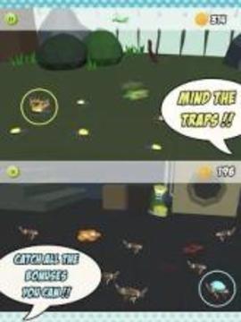 Bug Smasher Games- Smash Insects游戏截图2