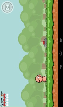 Run Pig Run!游戏截图2