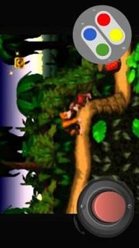 SNES Dnkey Kong Adventure游戏截图2