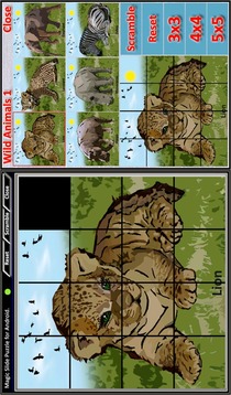 Magic Slide Puzzle W.Animals 1游戏截图2