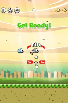 Quacky - The Best Bird Game游戏截图2