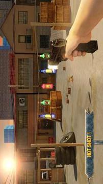 Bottle Shoot 3D Game Expert游戏截图4