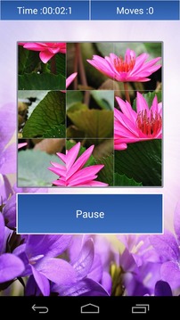 Flowers Lovers Puzzle游戏截图3