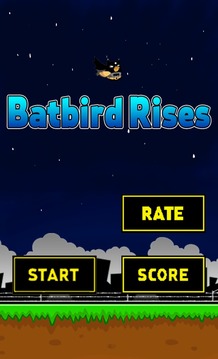 Batbird Rises游戏截图2