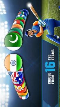 Cricket T20-Multiplayer Game游戏截图2