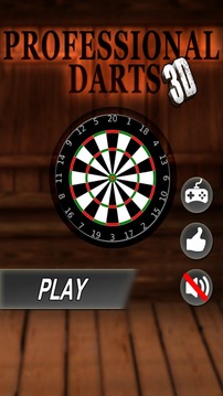 Professional Darts 3D游戏截图1