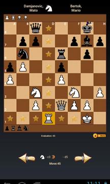 Black Knight Chess游戏截图2