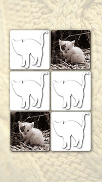 Memory Games free: Cute Cats游戏截图4