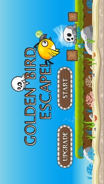 Golden Bird, Escape!游戏截图1