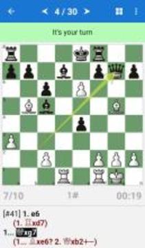 Chess Middlegame V游戏截图1