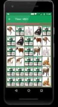 Animal Memory Matching Game游戏截图2