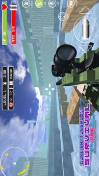 Cube Battleground Survival FPS游戏截图1