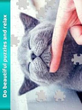 * Cat Jigsaw Puzzles - Free Puzzle Games游戏截图3