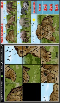 Magic Slide Puzzle W.Animals 1游戏截图1