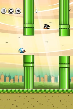 Quacky - The Best Bird Game游戏截图3