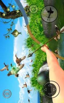 Wild Animal Archery Hunter Bird Shooting Game游戏截图5