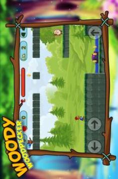woodii super Adventures woodpecker游戏截图4
