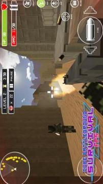 Cube Battleground Survival FPS游戏截图2