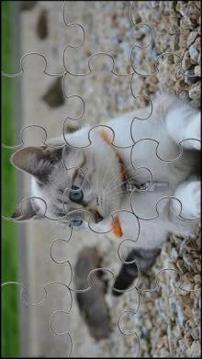 Cute Cats Jigsaw Puzzle游戏截图2