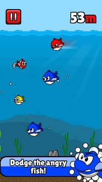 Mini Fish: Downstream Dash游戏截图3