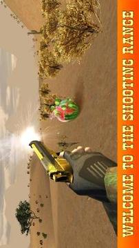 Watermelon Shooter - Shooting Range Master游戏截图1