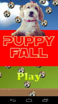 Puppy Fall游戏截图1