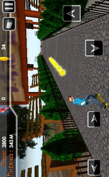 Skate Boy 3D游戏截图4