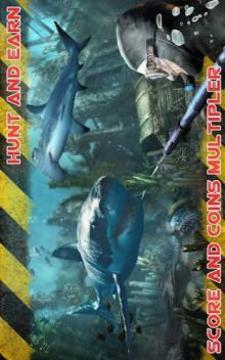 Wild Shark Fish Hunting game游戏截图3