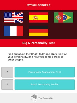 Big 5 Personality Test游戏截图1