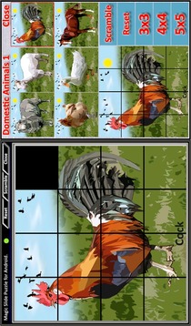 Magic Slide Puzzle D.Animals1游戏截图4