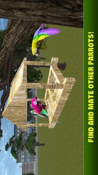 City Bird Parrot Simulator 3D游戏截图3
