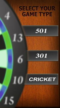 Professional Darts 3D游戏截图4