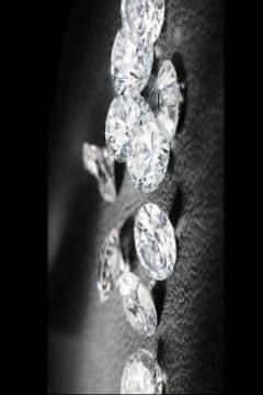 Diamond Jigsaw Puzzles游戏截图1