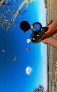 Sniper Pigeon Hunting 3D游戏截图2