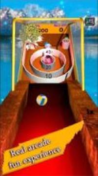 Skee Ball Flick - Hole King游戏截图3