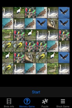 Save Our Birds游戏截图2