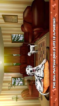 My Dalmatian Dog Sim - Home Pet Life游戏截图4