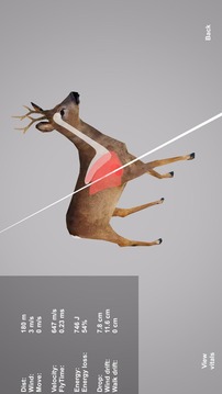 3D模拟狩猎游戏截图3