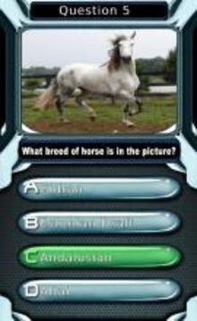 My Horse & Pony Breeds Quiz HD游戏截图4