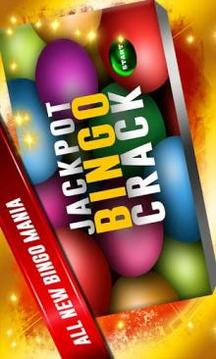 Jackpot Bingo Crack Free游戏截图4