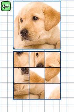 German & Puzzles: Animals游戏截图4