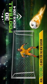 3D FOOTBALL KICKS 2014游戏截图2