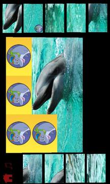 dolphins puzzle for kids游戏截图4