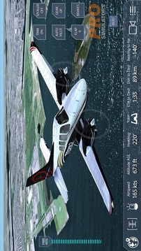 Pro Flight Simulator NY Free游戏截图3