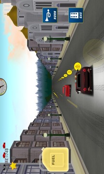 Police Car Chase游戏截图3