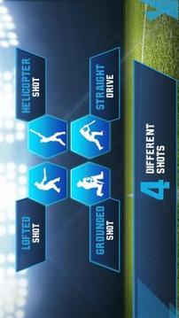 Cricket T20-Multiplayer Game游戏截图4