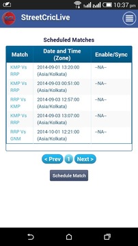 Cricket Scorer for All Matches游戏截图4